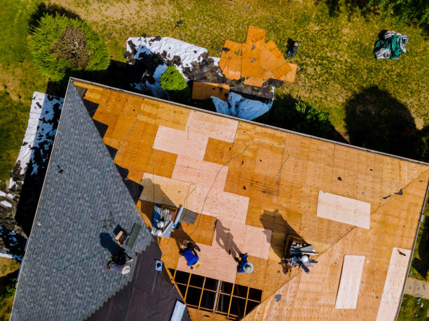 Best Storm Damage Roof Repair  in Venice Gardens, FL