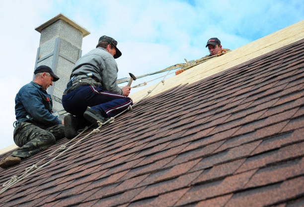 Quick and Trustworthy Emergency Roof Repair Services in Venice Gardens, FL