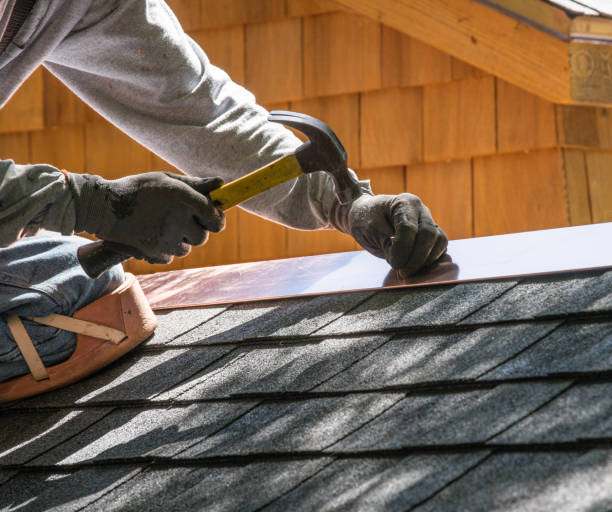 Roof Gutter Cleaning in Venice Gardens, FL